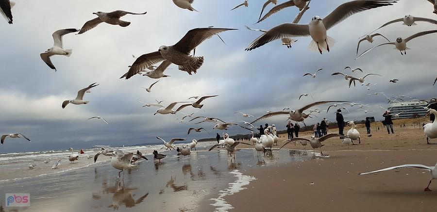 Na plaży w Świnoujściu
