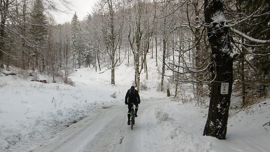 Kręcić trzeba skoro to droga rowerowa :)