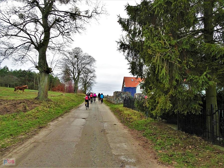 Sylwester z AGR - Tczew.