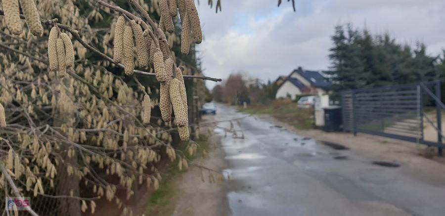 W Grzędzicach