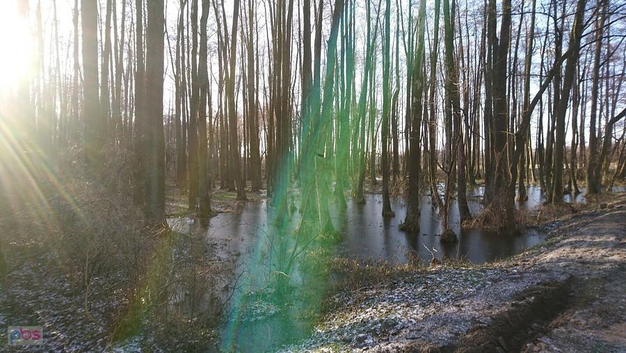 Tajemnicza zielona poświata, czyli zjawisko paranormalne/nadprzyrodzone