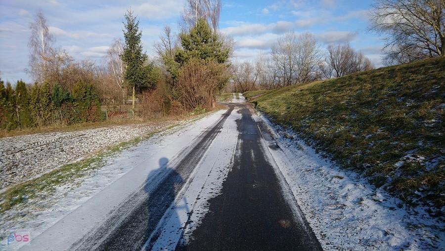 Droga wzdłuż Wisły Gassy - Obórki