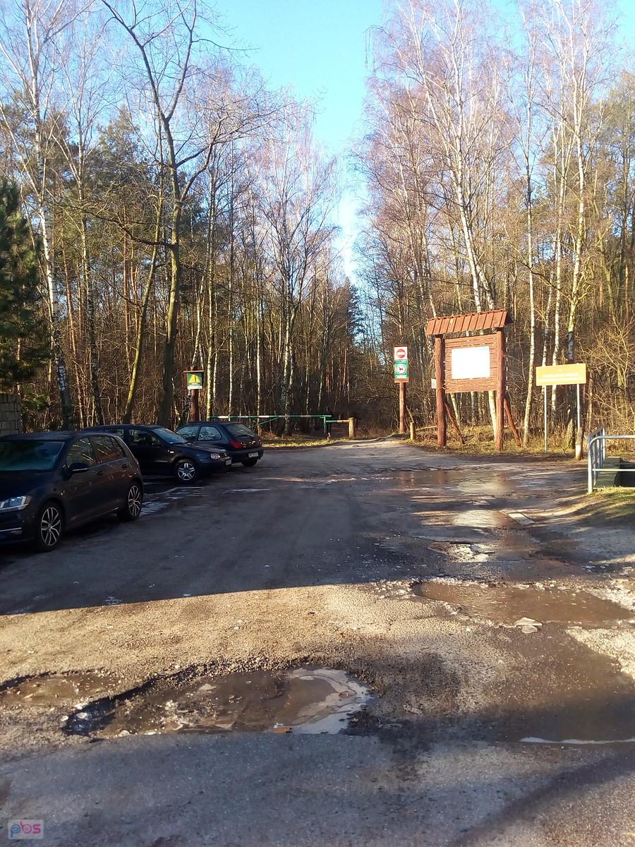Wjazd do lasu tym razem ominęłam