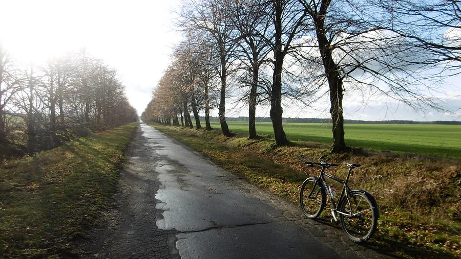 Boczny asfalcik. Zamiast zimy mamy wczesną wiosnę :)
