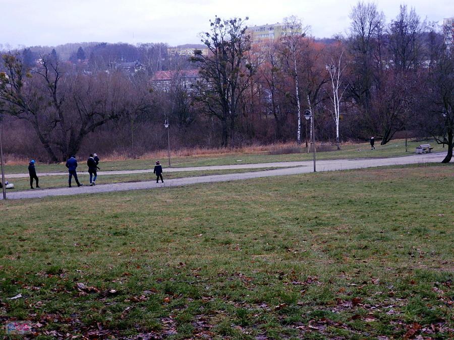 kolejny raz widok z ulicy Kochanowskiego spod lasu - 5 stycznia 19 r.