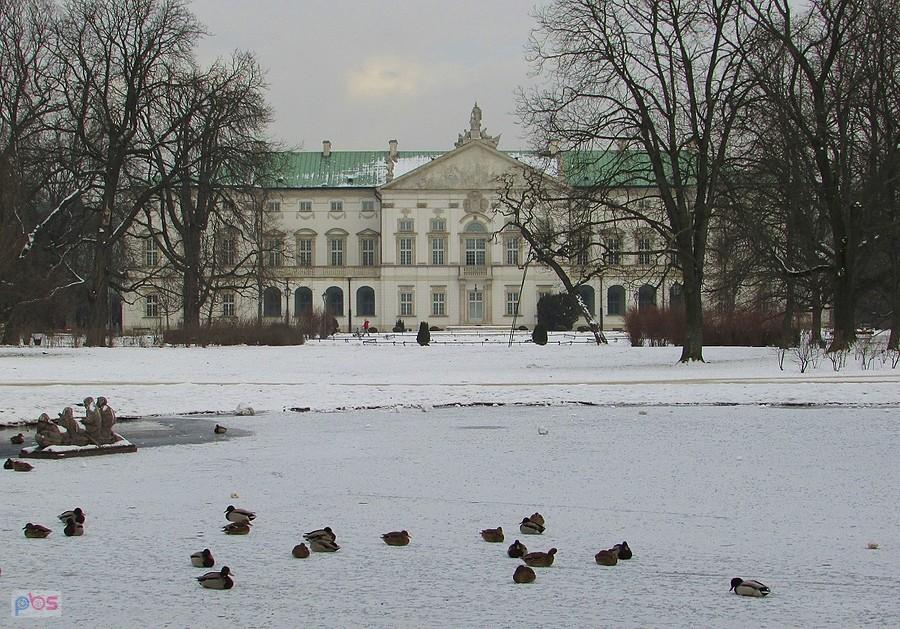 Pałac Krasińskich