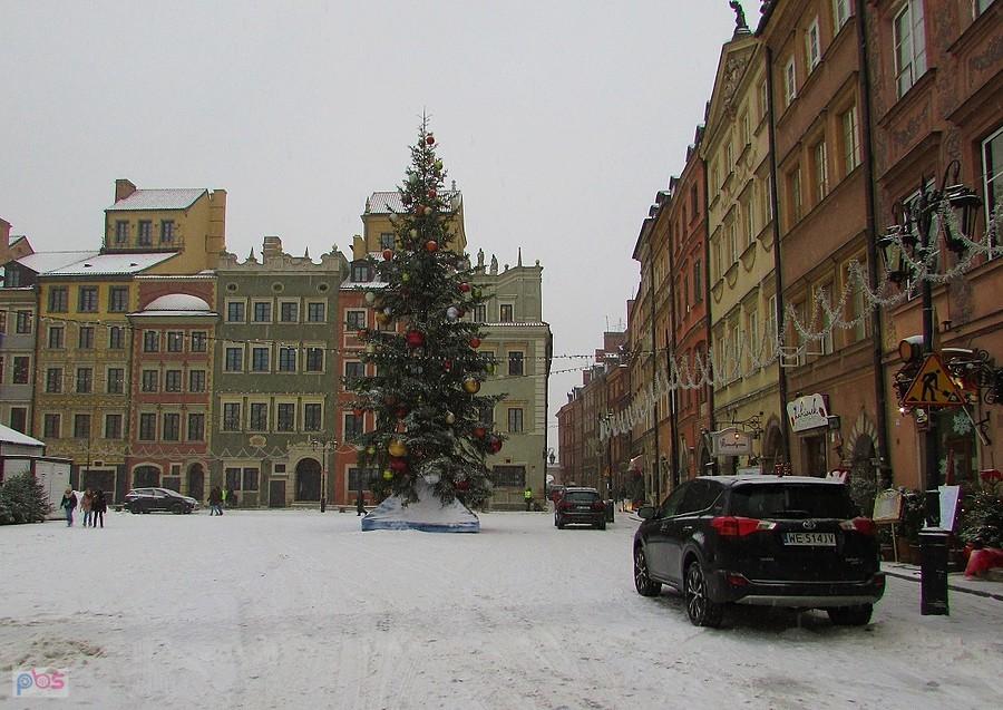 Choinka na staromiejskim Rynku