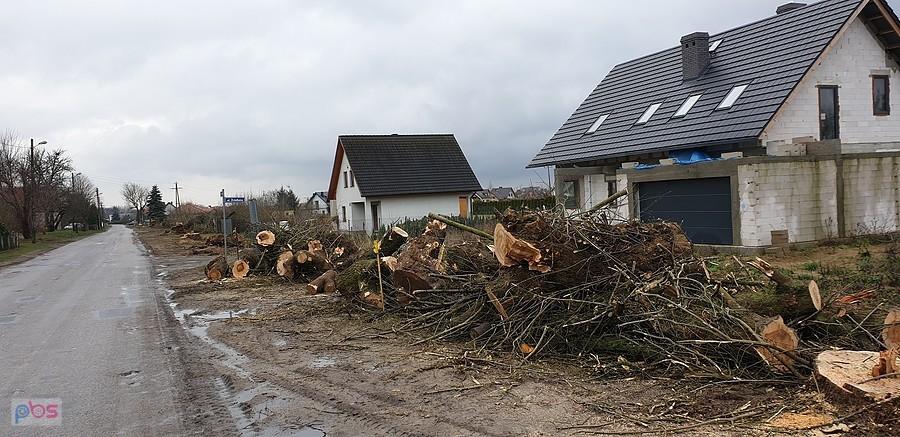 Wycinka drzew pod DDR-ke w Grzędzicach