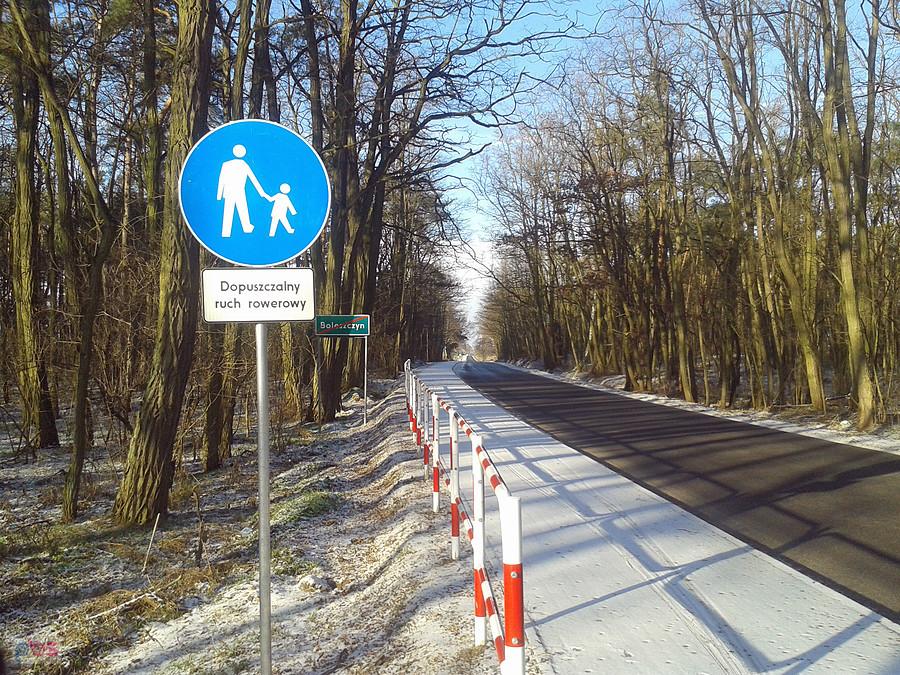 Jestem tylko gościem