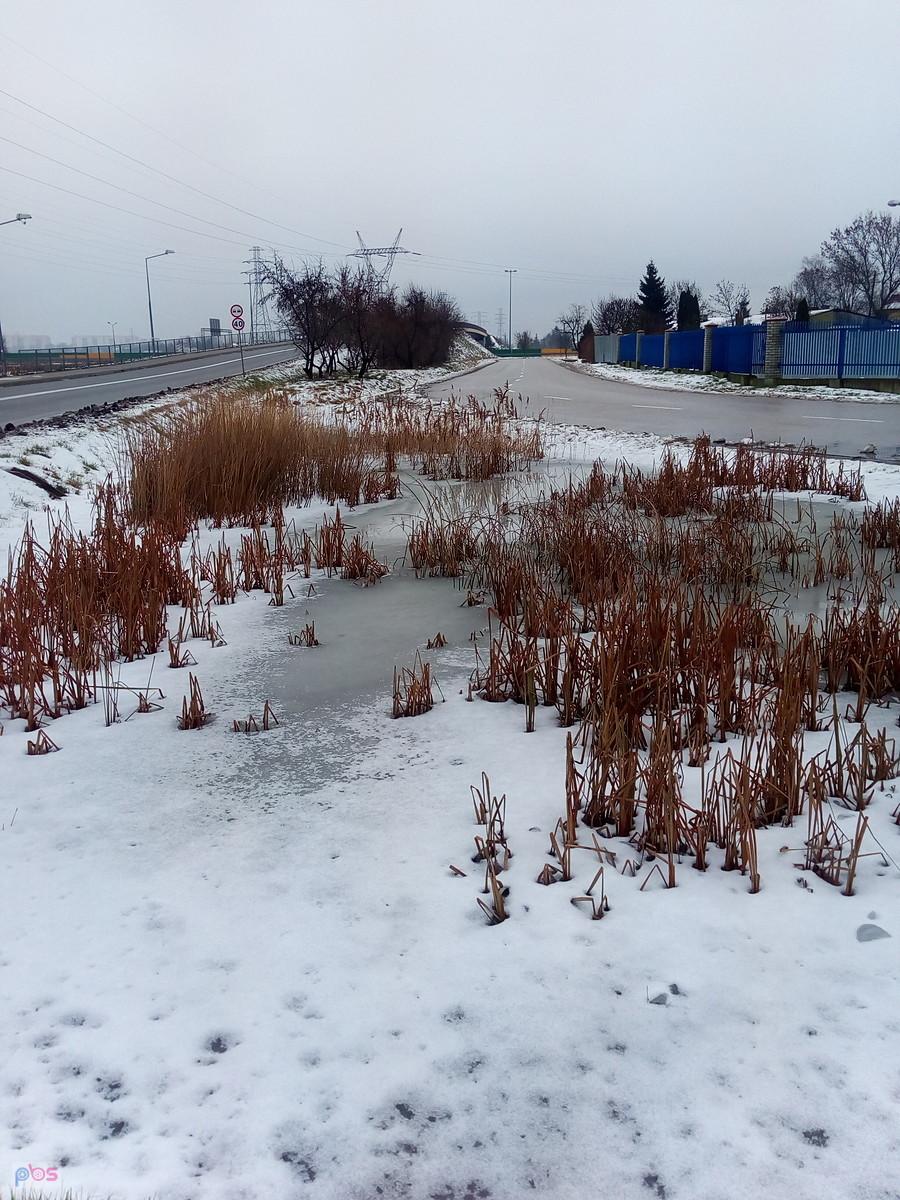 Malutki, ale jednak staw :)
