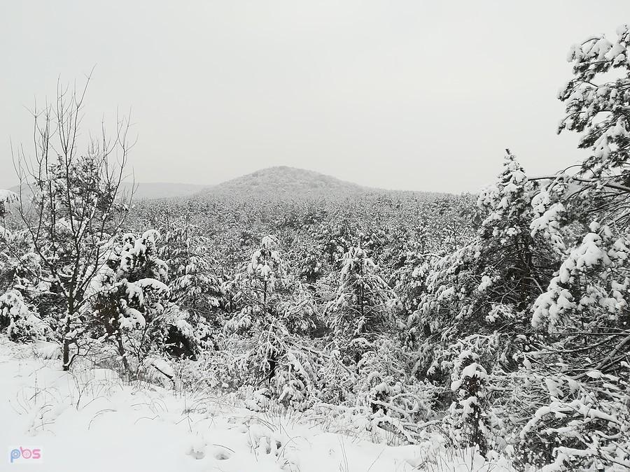 Sokole Góry