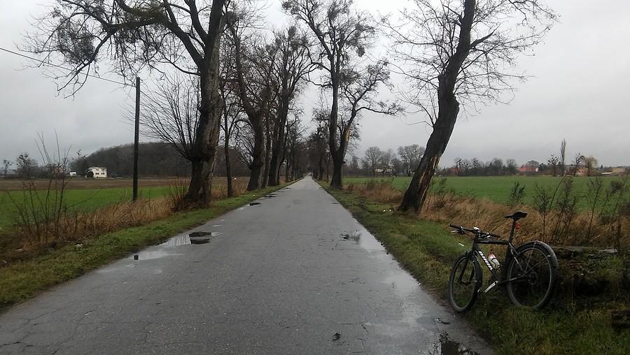 Na trasie było zarówno półsucho