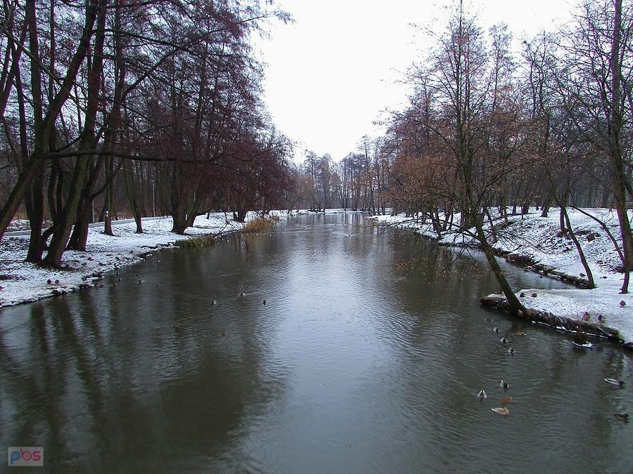 Jeziorka z mostku przy tężni