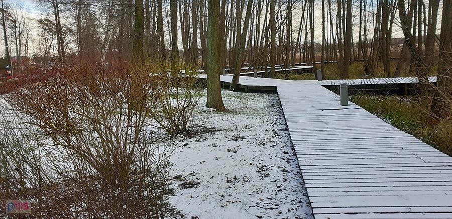 Biało na pomostach przy jeziorze Miedwie