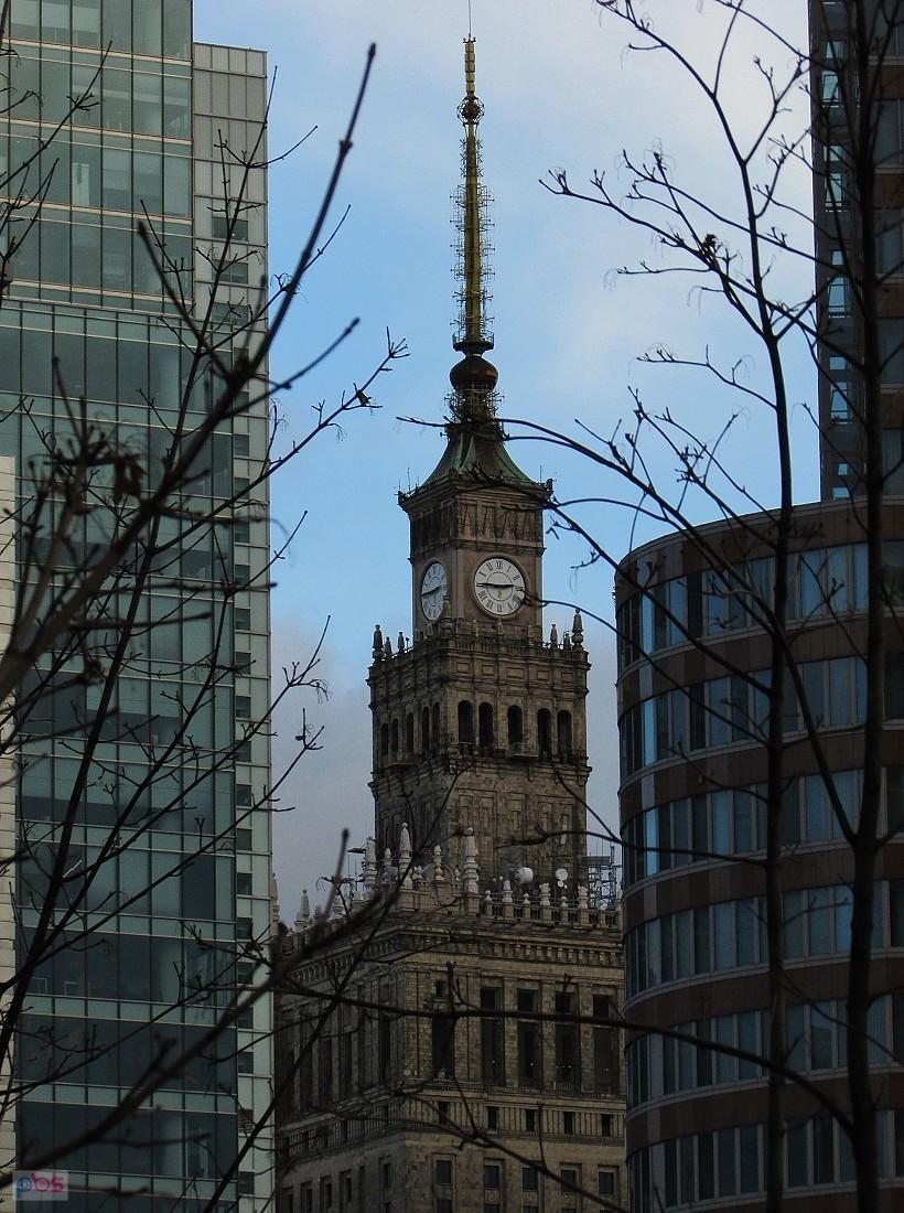 Pałac Kultury schowany za biurowcami