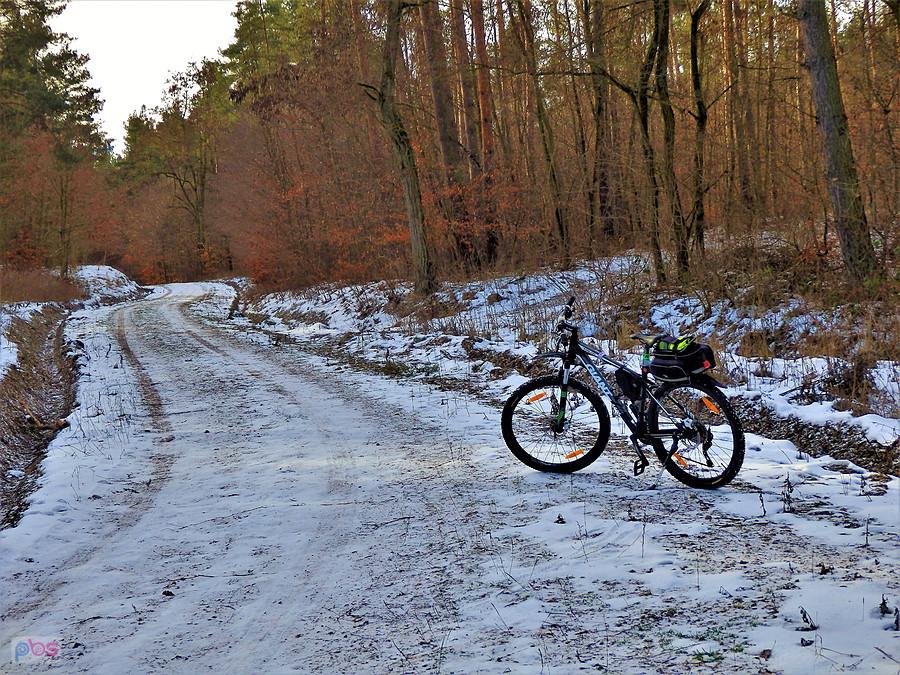 Pierwsza wycieczka rowerowa w 2019 r. Okolice Tczewa.