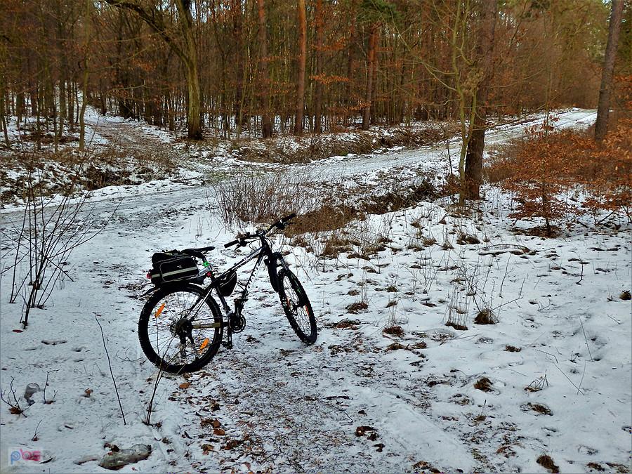 Pierwsza wycieczka rowerowa w 2019 r. Okolice Tczewa.