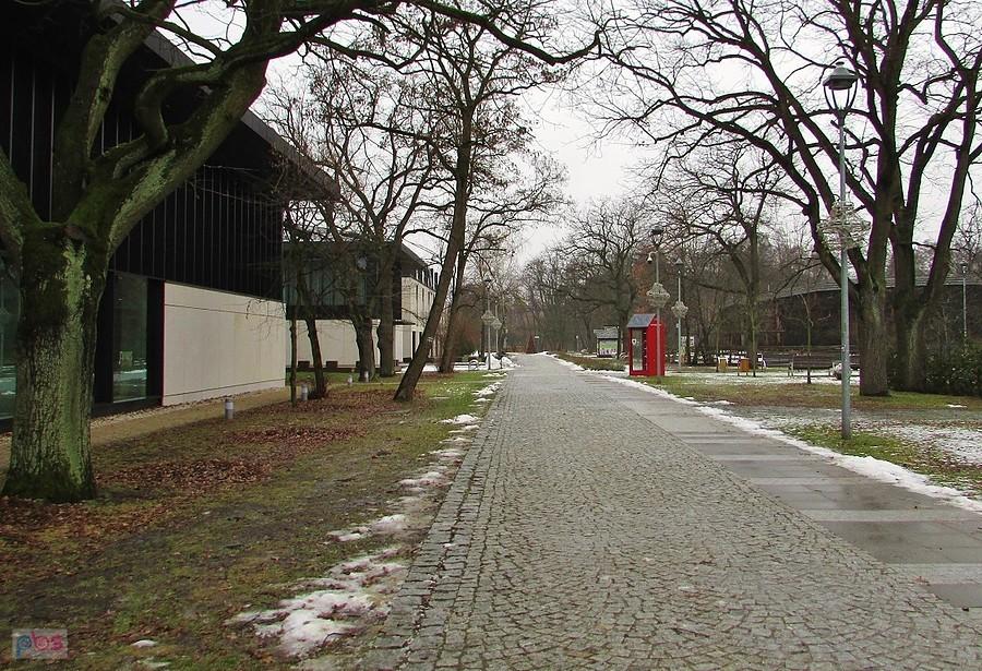 Konstancin - główna alejka w Parku Zdrojowym
