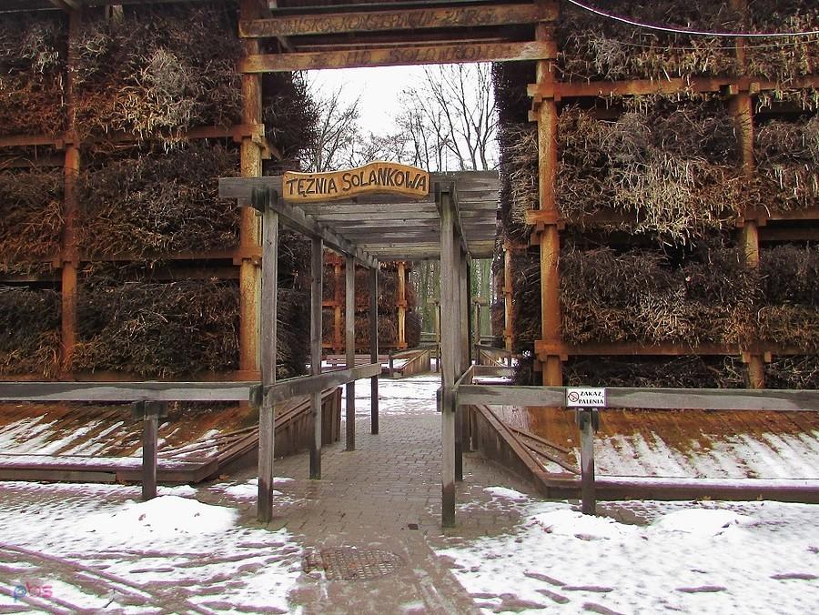 Konstancin - wejście do tężni