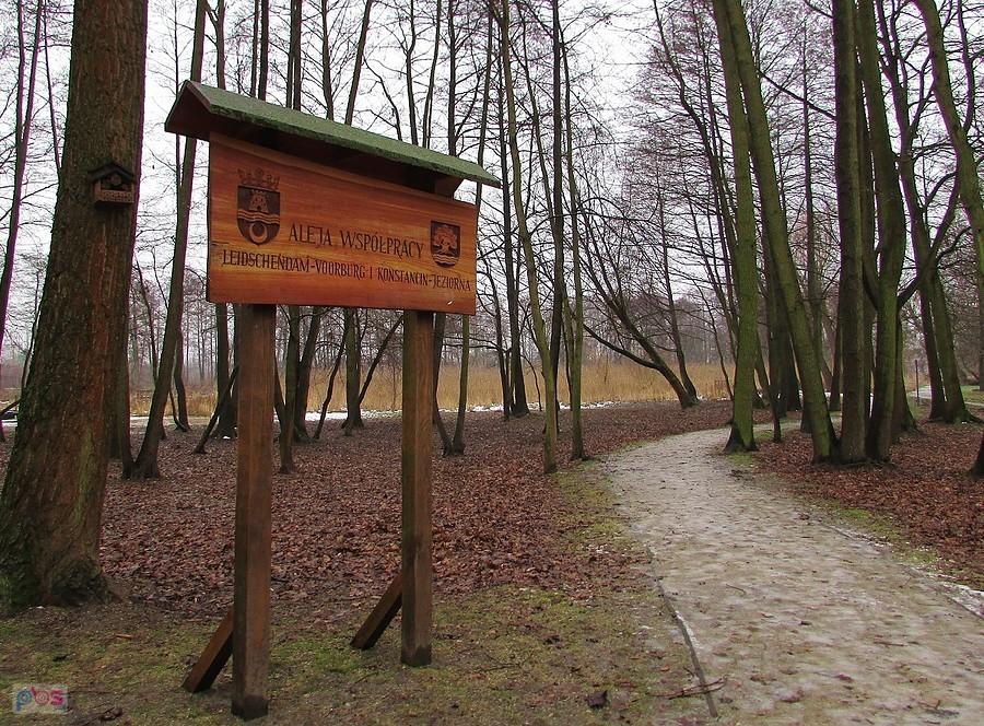 Aleja Współpracy