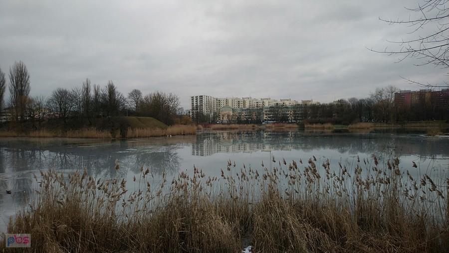 G l i n k i na Szczęśliwicach