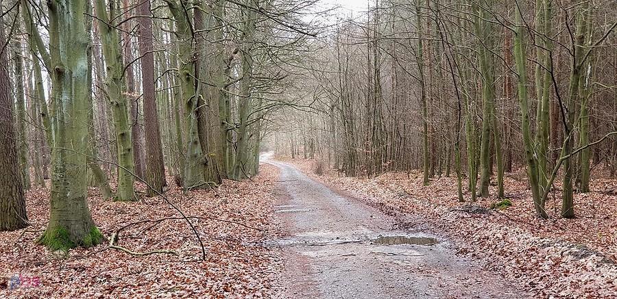 Dojazd pożarowy 48 w kierunku Jezierzyc