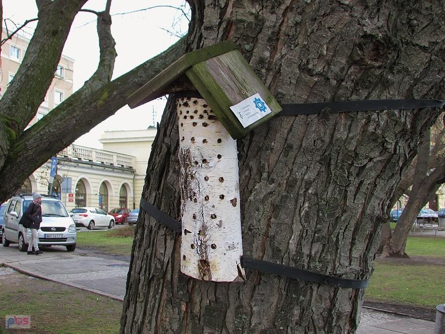 Chatka dla owadów z budżetu partycypacyjnego