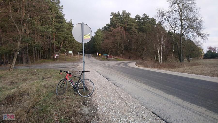 Skrzyżowanie w Puszczy Kampinoskiej