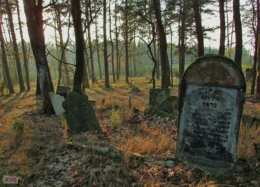 Najstarsza część cmentarza żydowskiego w Otwocku