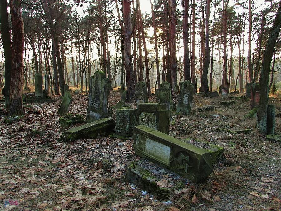 Na cmentarzu w Otwocku znajduje się ok. 900 grobów