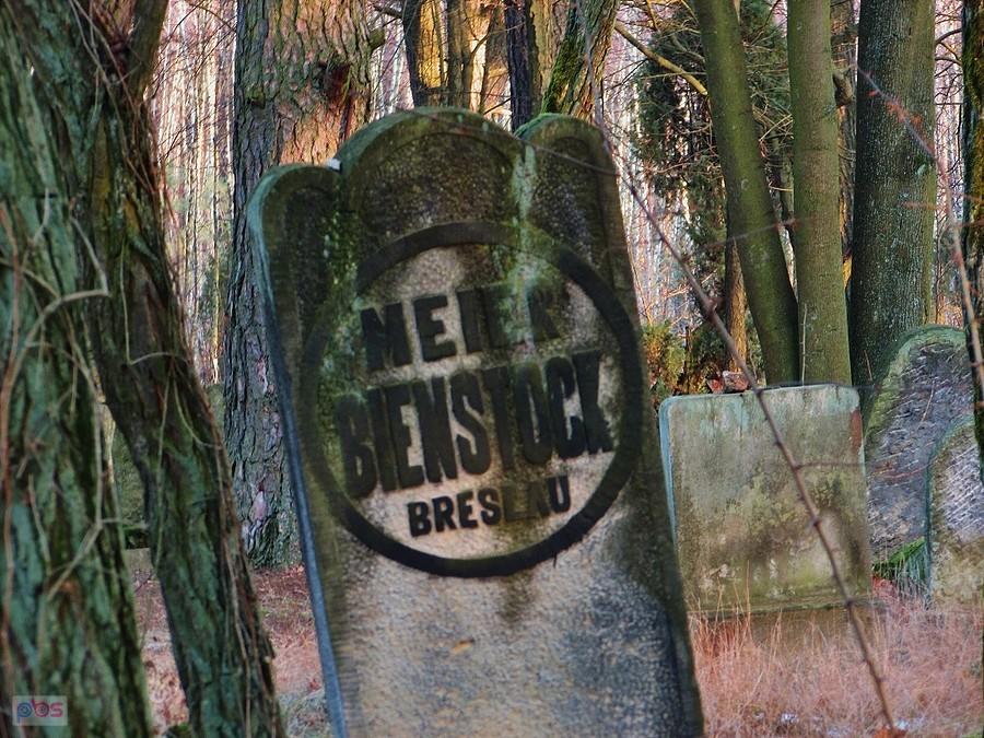 Napis z tyłu macewy