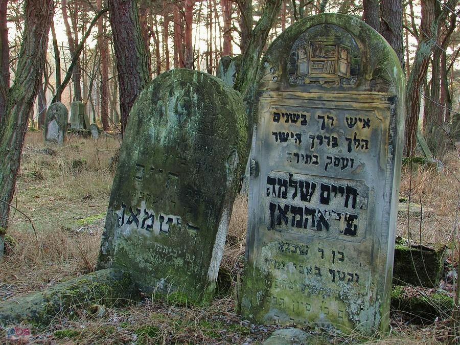Groby Chaima Shlomo Frohmana i Chaima Ditmana, obaj zmarli w 1929 r.