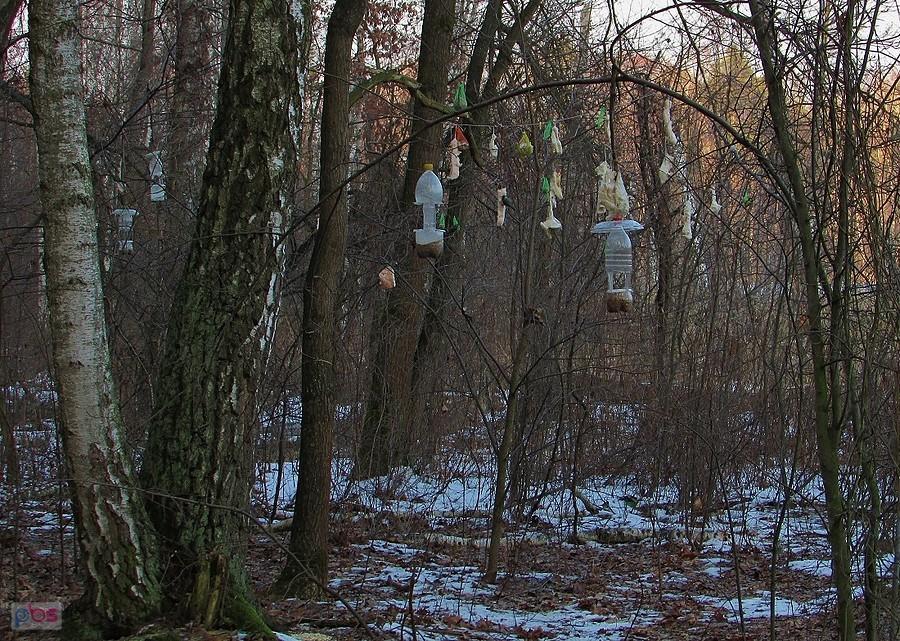 Karmniki i słoninki przy rezerwacie Na Torfach