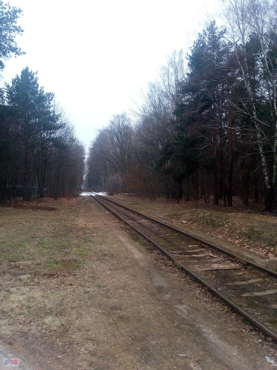 Tor przez las