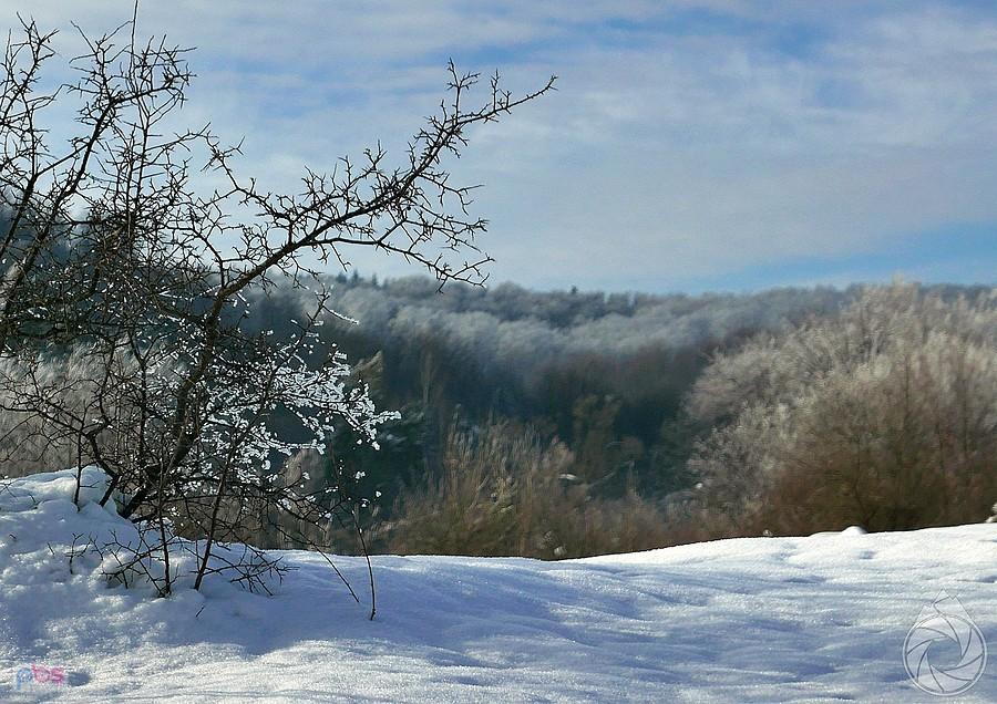 lekki mrozik na chaszczach i górach