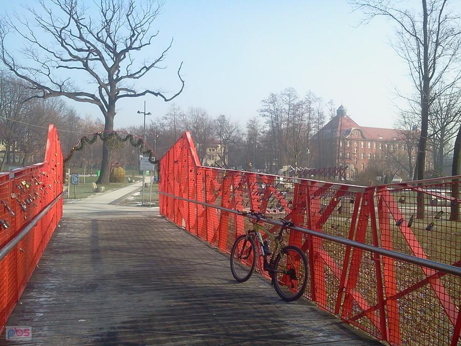 W Rybniku w parku
