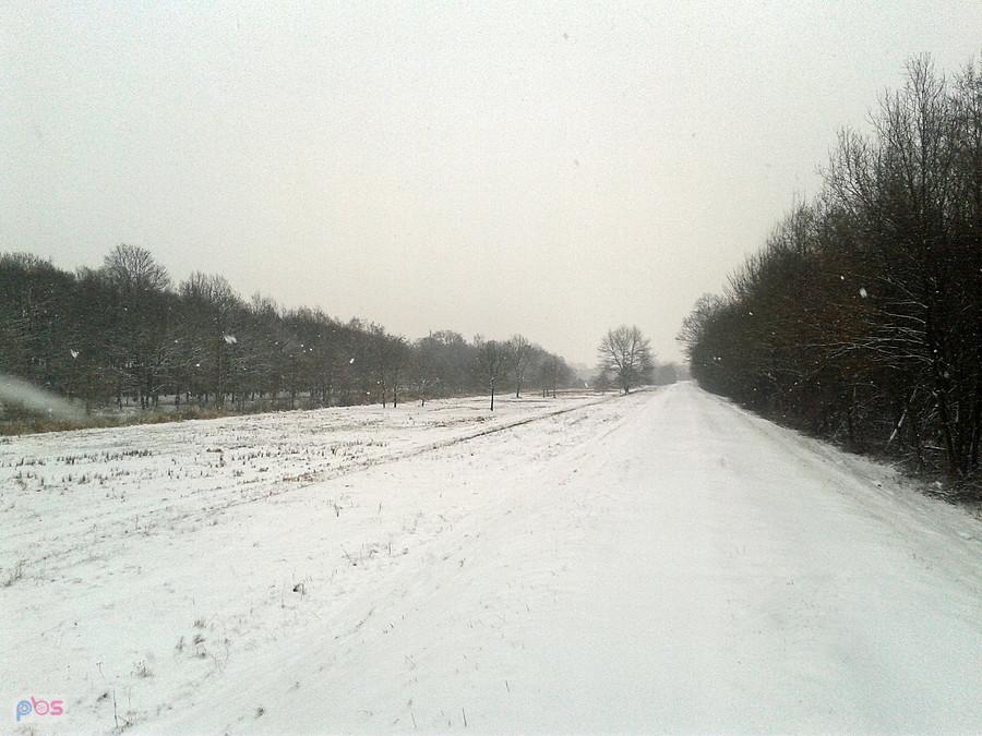 W kierunku zamku