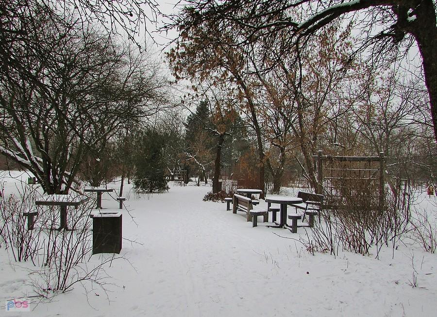 Działki zamienione w park