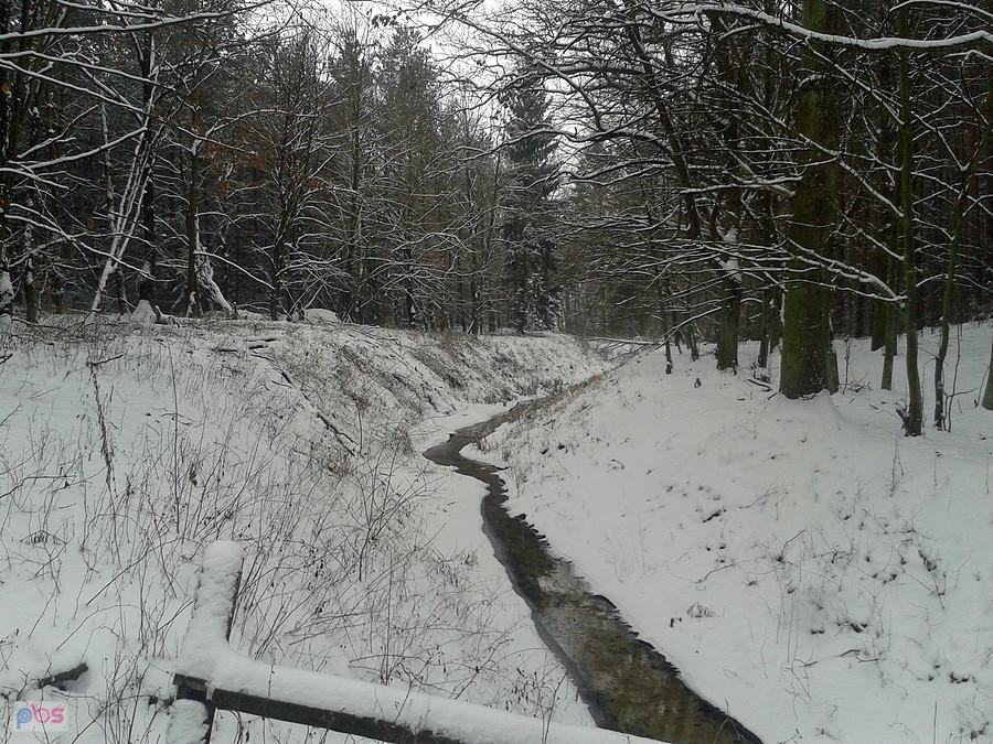 Rzeka Pisia