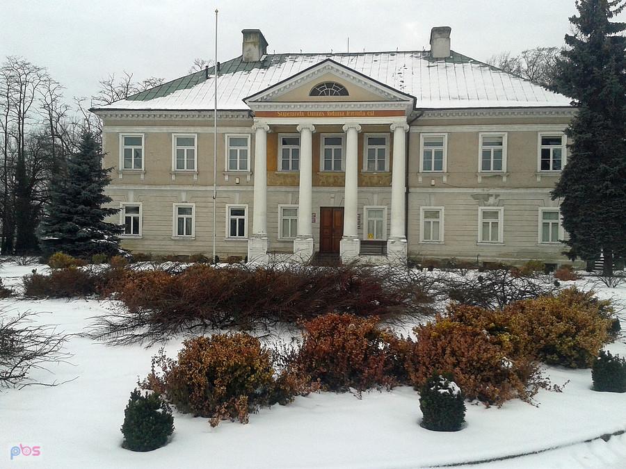 Pałac w Gostkowie Starym