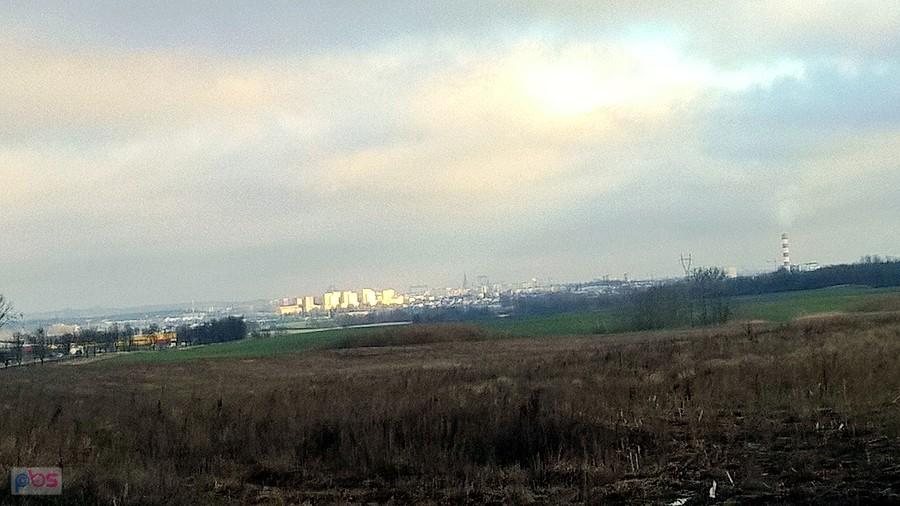 W oddali Szczecin - widok z Siadła Górnego.