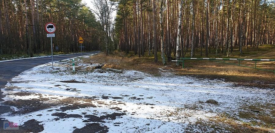 Leśna krzyżówka STRUMIANY - STAWNO - KLINISKA