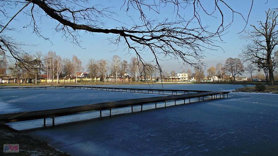 Zamarznięty staw w Dobrej