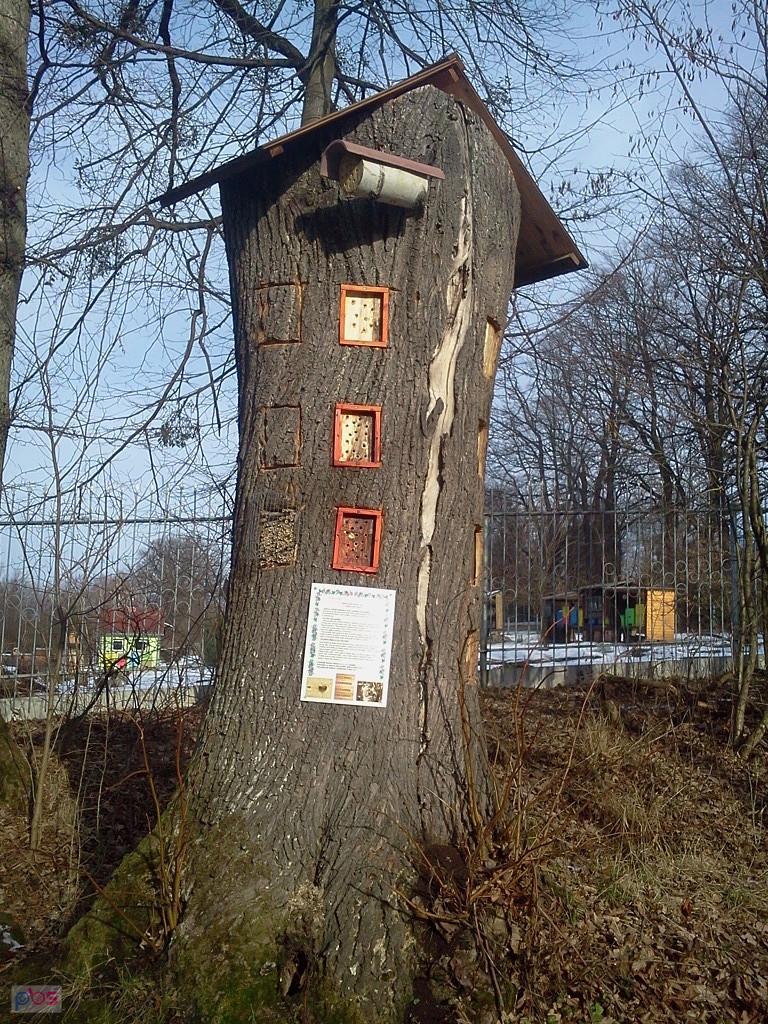 Ul dla dzikich pszczół