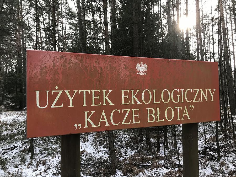 Użytek ekologiczny Kacze Błota