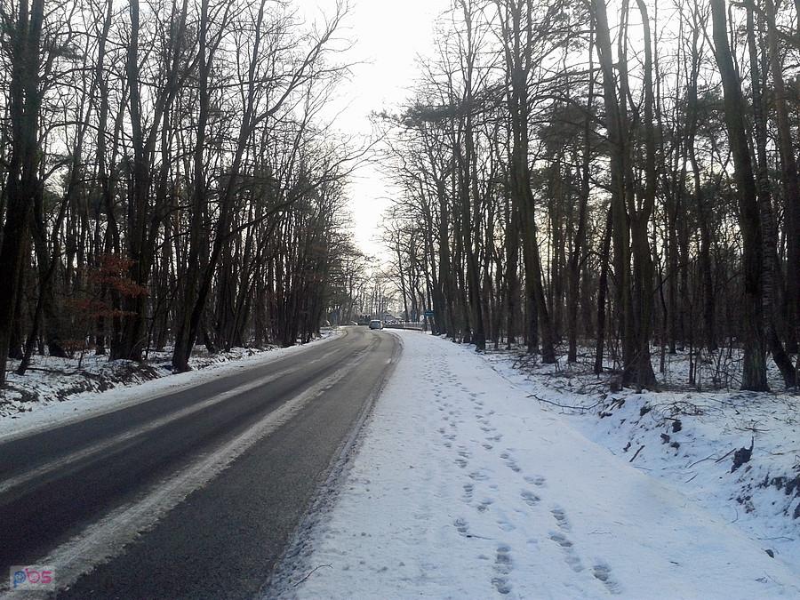 Ślady pierwszych osadników :D