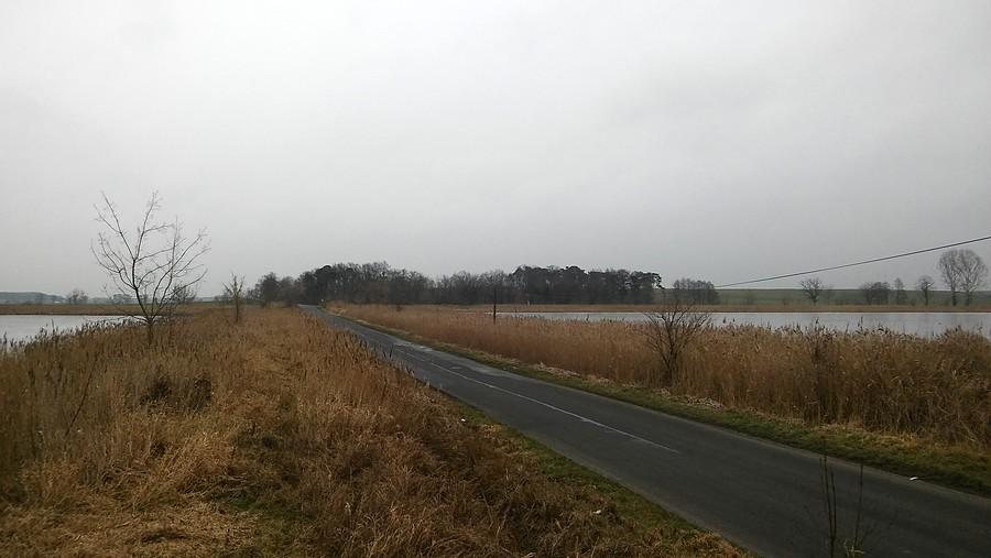 Ciekawy fragmencik trasy - szosa przecinająca dwa stawy (Grzybno)