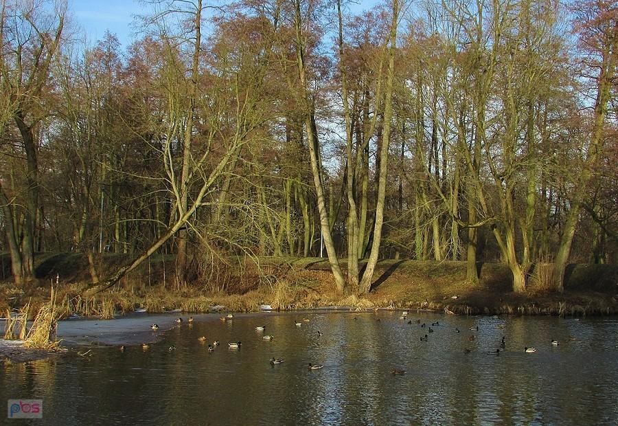 Jeziorka w Konstancinie