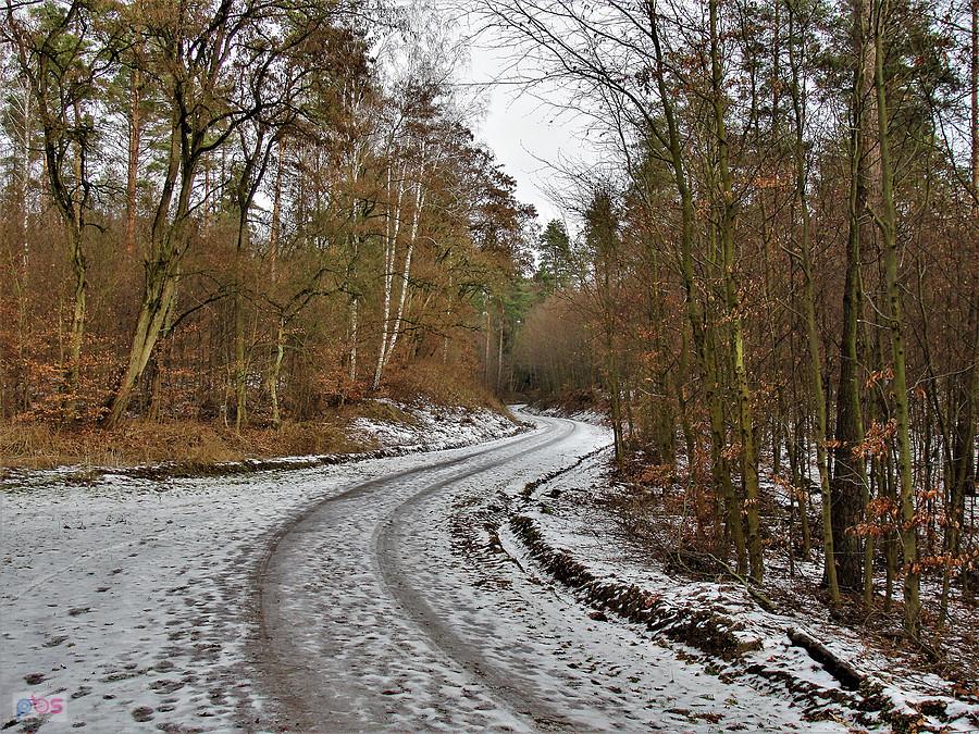 Okolice Tczewa - w lesie ślizgawica.
