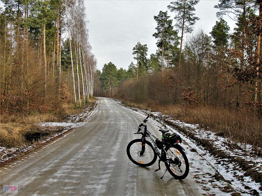 Okolice Tczewa - w lesie ślizgawica.